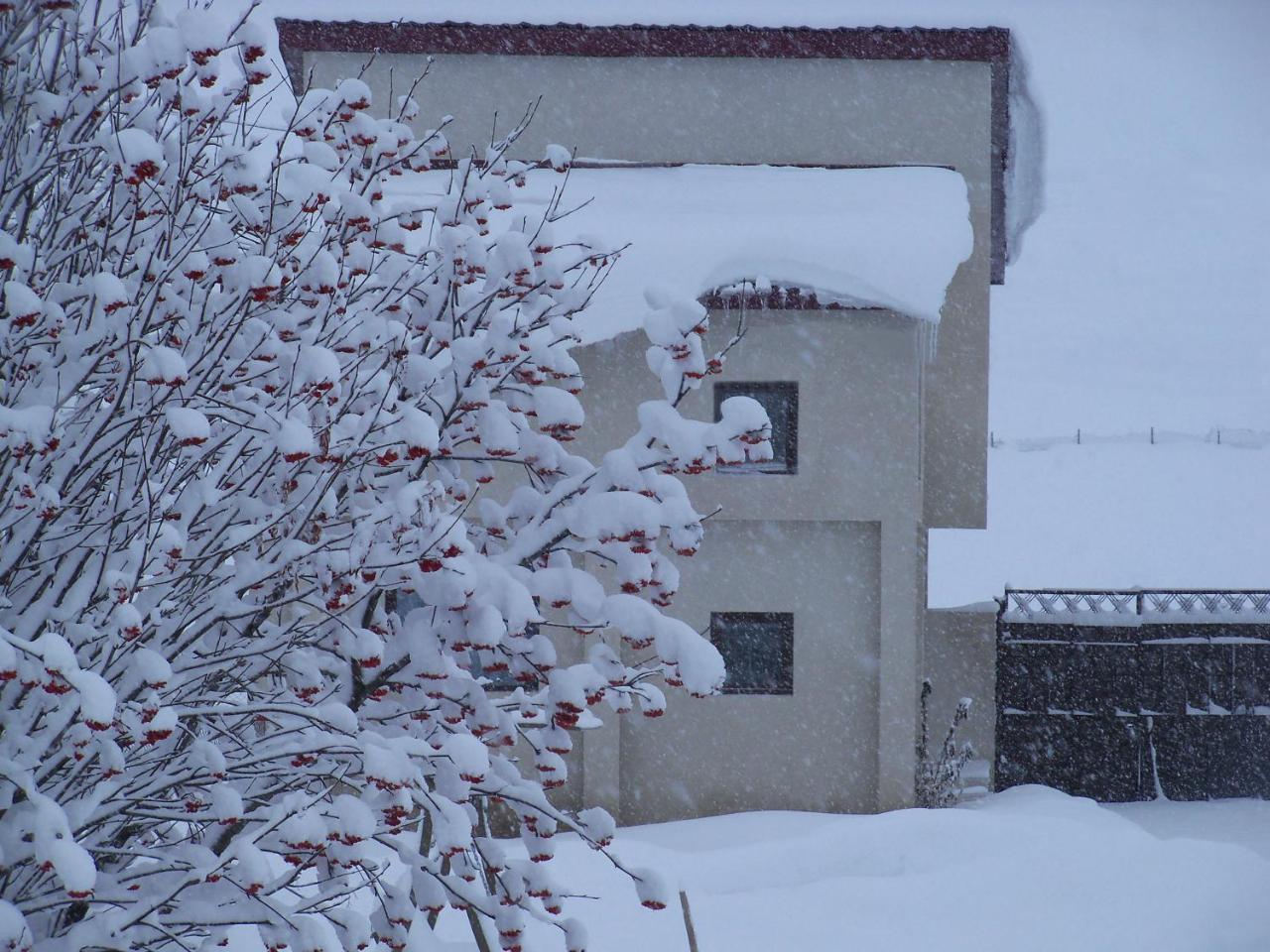 ---Allegria House--- カズベギ エクステリア 写真